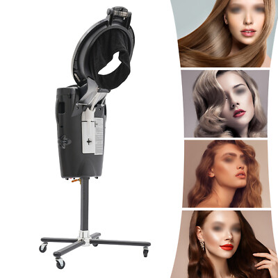 Nano Mist Ultrasonic Ozone Hair Care Salon Spa Steamer Oil Treatment Coloring..