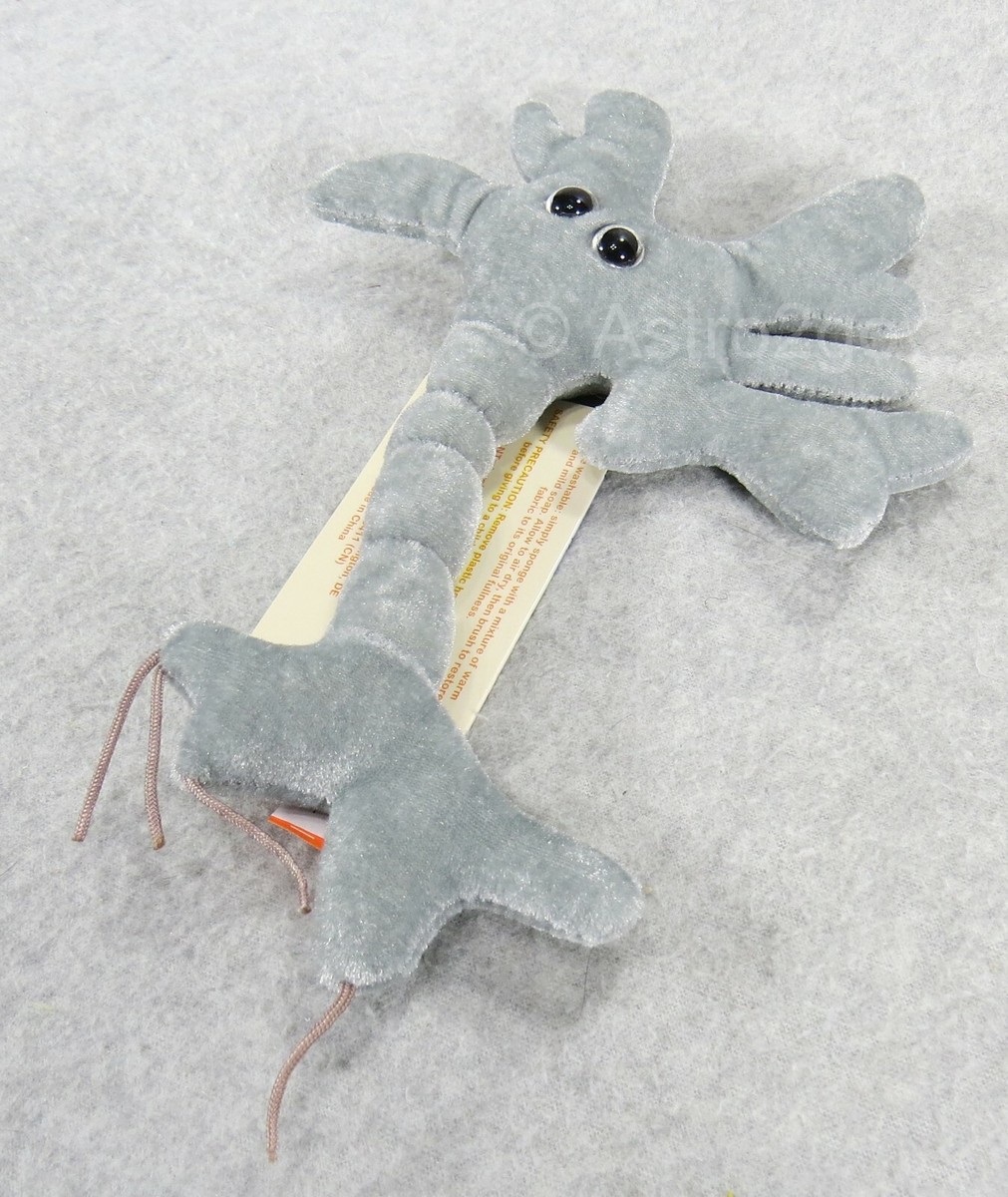 GIANT MICROBES-BRAIN CELL-Stuffed Plush Neuron Synapse Biology