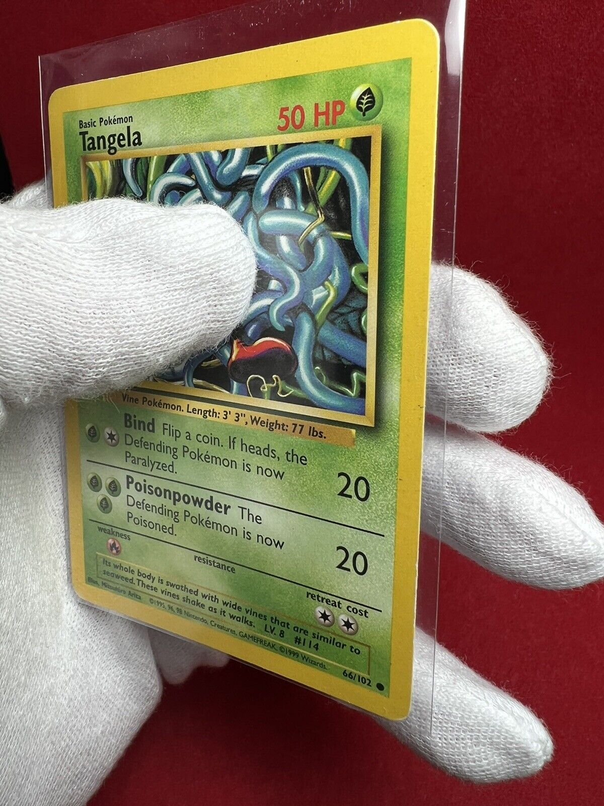 Tangela 66/102 Pokemon 50 Ps  Antiguidades e Colecções, à venda