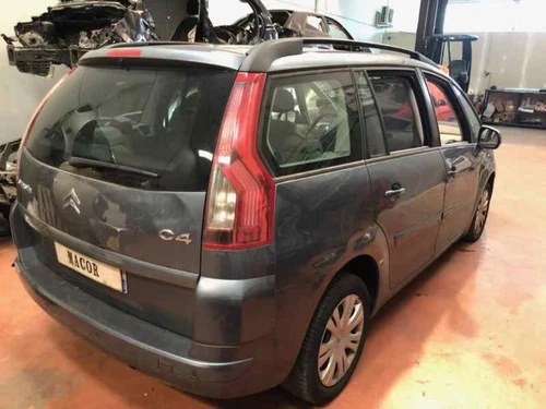 Portiera Posteriore Sinistra per CITROEN GRAND C4 PICASSO Avatar 2007 98634 - Foto 6 di 10