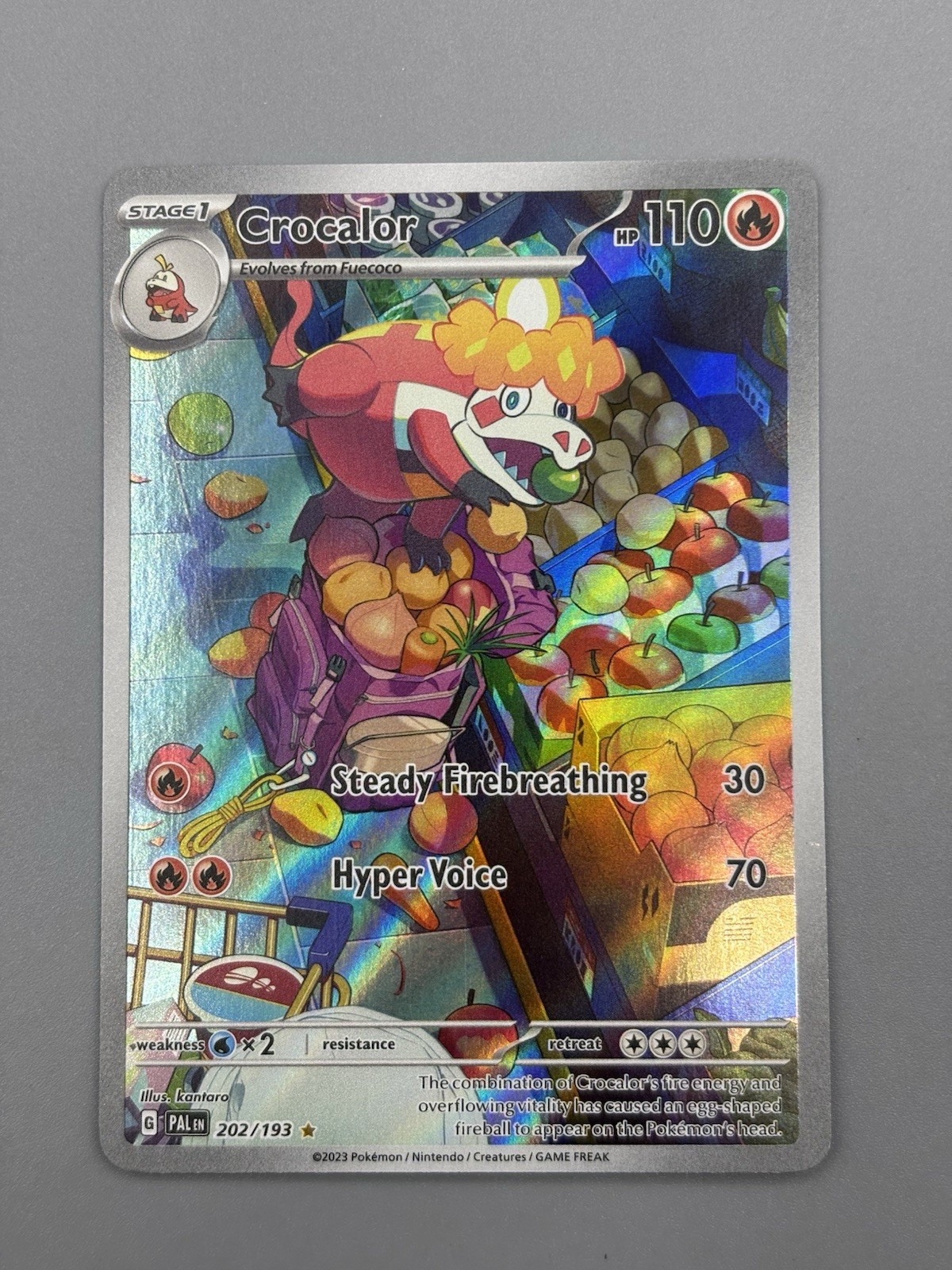 Crocalor 202/193 SV02: Paldea Evolved Illustration Rare NM