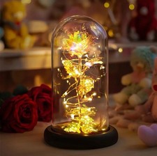 Colourful LED Rainbow Rose in Glass Dome