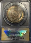 1896 P Toned Morgan $💎ANACS MS 63💎Exceptional Bullseye Target Rainbow💎VIDEO