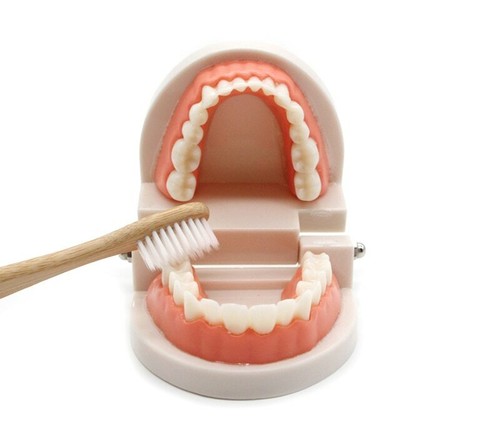 Montessori Educational Toys For Children Early Learning Kids Intelligence Brush - Picture 8 of 12