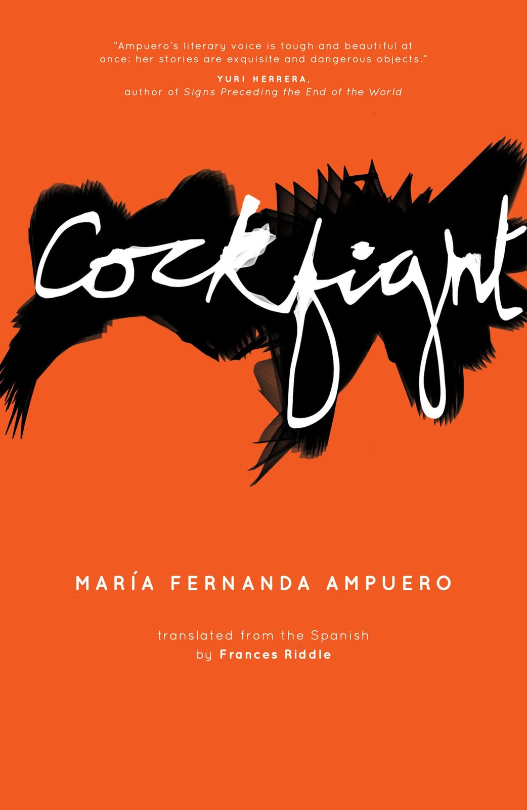 Cockfight Maria Fernanda Ampuero - Image 5