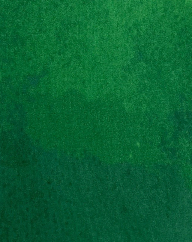 Leggings Lularoe OS Talla Única Divertidos Verde Ombré HALLOWEEN DIP Desvanecimiento Vacaciones Elastizadas Foto 3 de 4