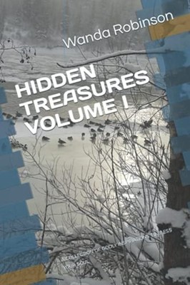 Hidden Treasures Volume I: a Collection of Godly Inspir -  NEW Wanda Robinson 20