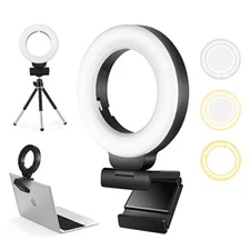 Webcam Lighting,Ring Light for Laptop/Computer,Zoom Call Lighting,4''Small 