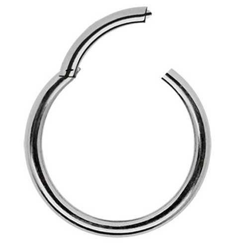 Titan Labbra Setto Orecchio Piercing Naso Segmento Click Anello Con Cerniera - Foto 2 di 6