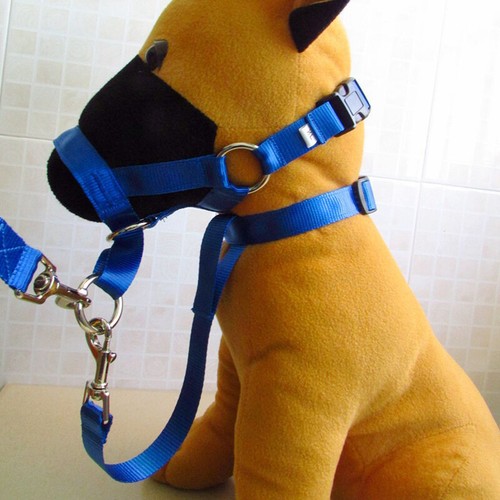 Nylon-Hundehalsband Halfter Leine Leine Kein Ziehen Trainingsgurte 5 Größen❀ ◆ - Bild 9 von 17