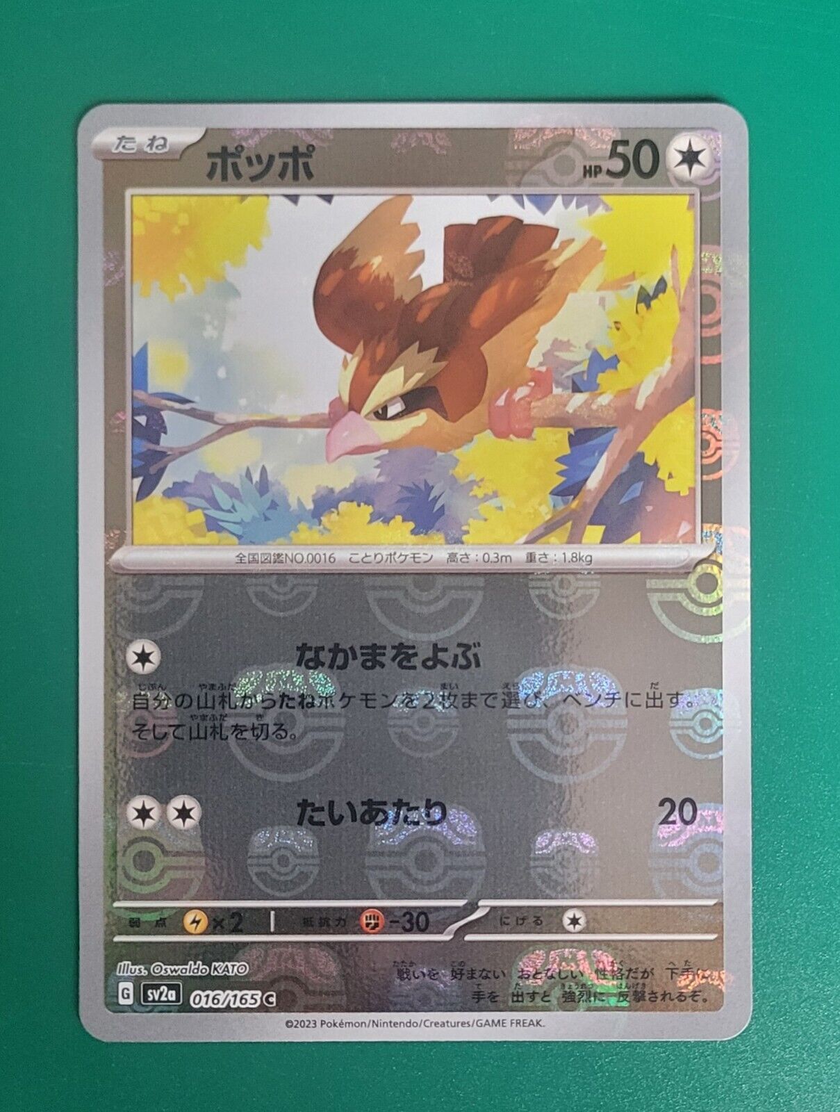 Pidgey Master Ball Holo 016/165 sv2a Japanese Pokémon 151 Card Pokémon Card NM