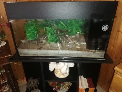 Acquario per acqua dolce usato con mobile dedicato - Foto 6 di 6
