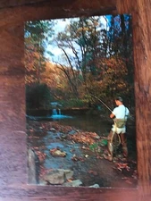 The Homestead Hot Springs Virginia Cascades Trout Stream Postcard