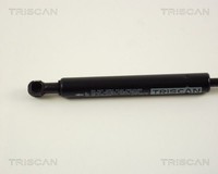 Triscan Gasfeder, Koffer-/Laderaum 8710 292101 FüR Seat VW