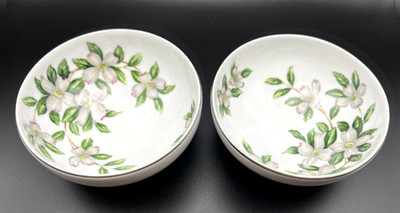 Vintage ACI Fine China ''Sharon'' Pattern Dessert Fruit Bowl 5''