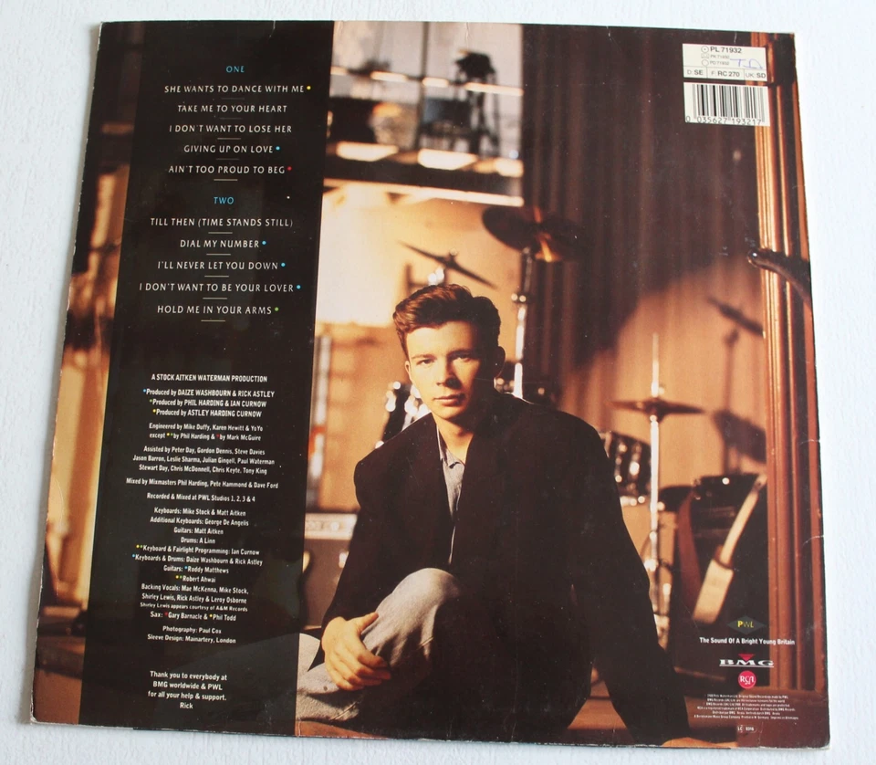 Rick Astley hold me in your arms ,   33 tours - Photo 2/3