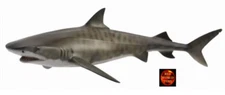 Tiger Shark Sealife Toy Model Figure by CollectA 88661 Brand New