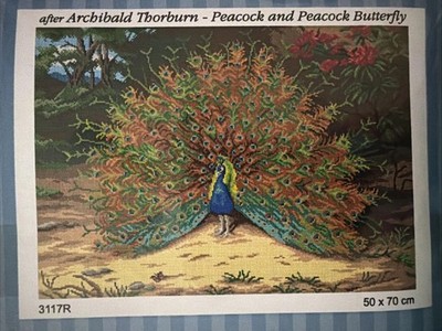 Orchidea Printed Needlepoint Tapestry Peacock  Canvas Only 50x70cm