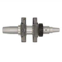 Kurbelwelle: Kompatibel Mit Lombardini / 15LD 315 / 15LD 350 - 2990