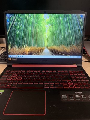 Acer Nitro 5 AN515-54 Windows 11 Home 256GB SSD, 64GB DDR4, I7-9750H, RTX 2060