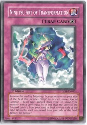 Ninjitsu Art of Transformation SD8-EN035 1st Edition Common