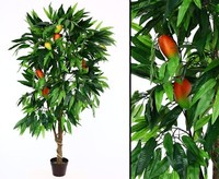Mangobaum KüNsrlich Mit FrüChten Im Topf HöHe 165Cm Von Ibizanos