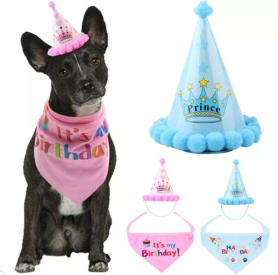 Puppy Dog birthday party hats prince princess bandana Labrador
