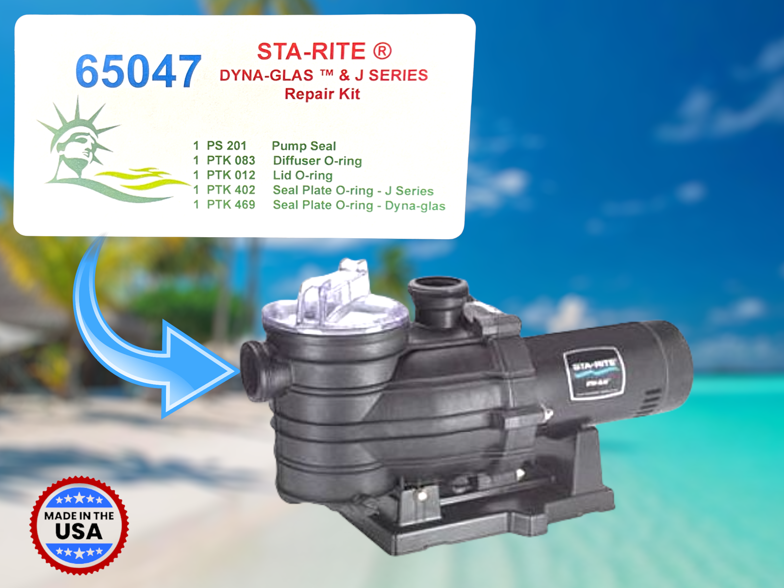 65047 StaRite™ DynaGlas ® DynaMax J Series Swimming Pool Pump Kit GO
