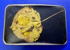 Aspen Leaf with Drop of Water Artwork Leather Hippy Vibe Belt Buckle