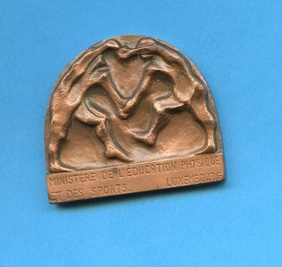 SPORT LUXEMBOURG, médaille CHAMPION 1980 du Ministère des Sports Lux. - Photo 1/2