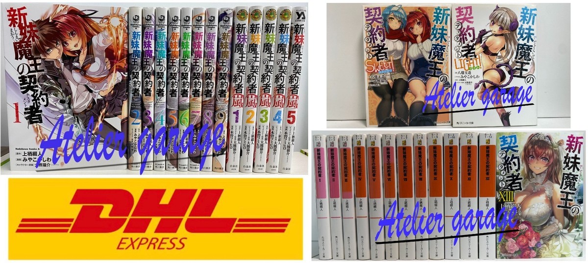 The Testament of Sister New Devil Novel 1-13+2+1-9+Arashi 1-5 Set