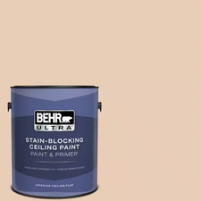 1 Gal. #PPU3-06 Venetian Mask Ceiling Flat Interior Paint & Primer
