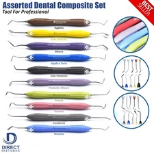 Set of 10 LM Arte Composite Filling & Restorative Instrument Silicone Handle