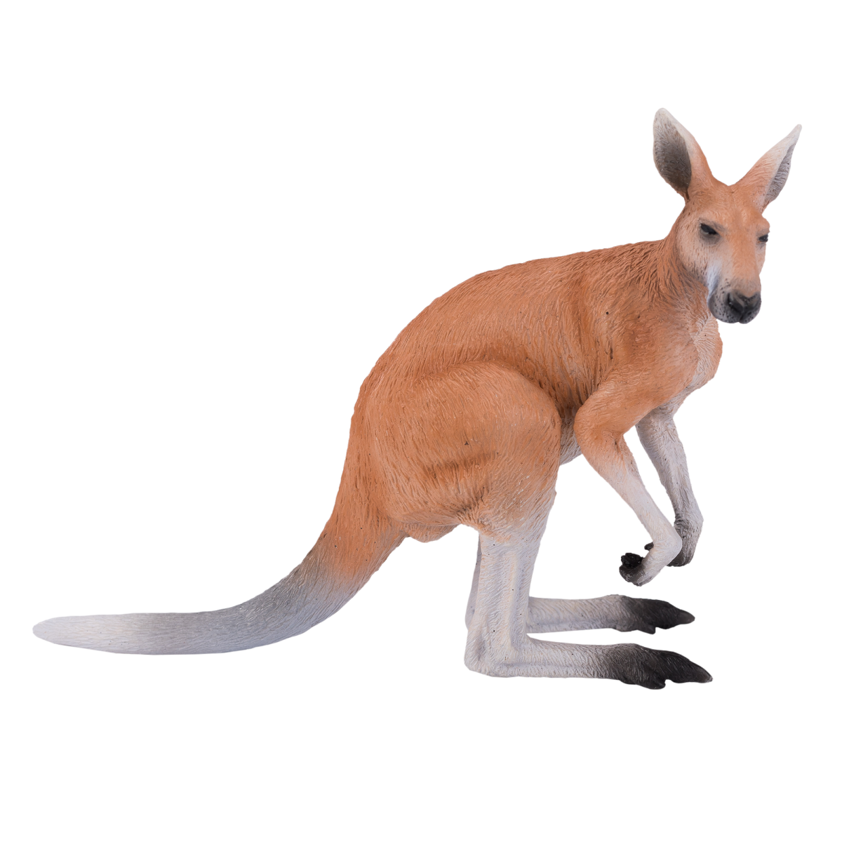 Kangaroo Toy Australian wild animal model figure toys plastic forest jungle