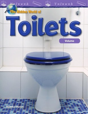 The Hidden World of Toilets: Vol. (Mathematics in the Real World) by Davies