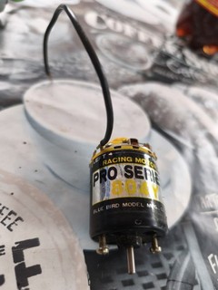 Blue Bird Pro Series 804Y Racing Motor