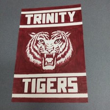 Trinity Tigers San Antonio TX Texas 4x6 Scrapbook Shadowbox Artwork Art