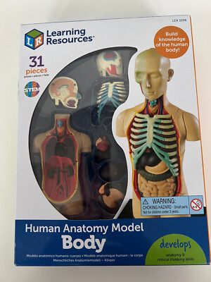 Learning Resources Anatomy Model Body 31 Piece Set