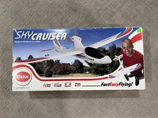 Cox Sky Cruiser RC Glider