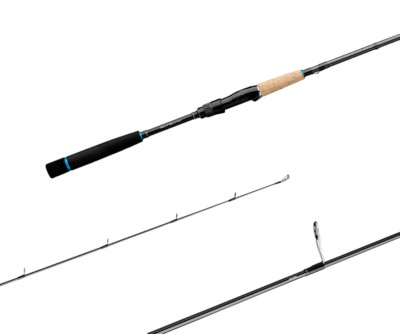 daiwa saltist west coast