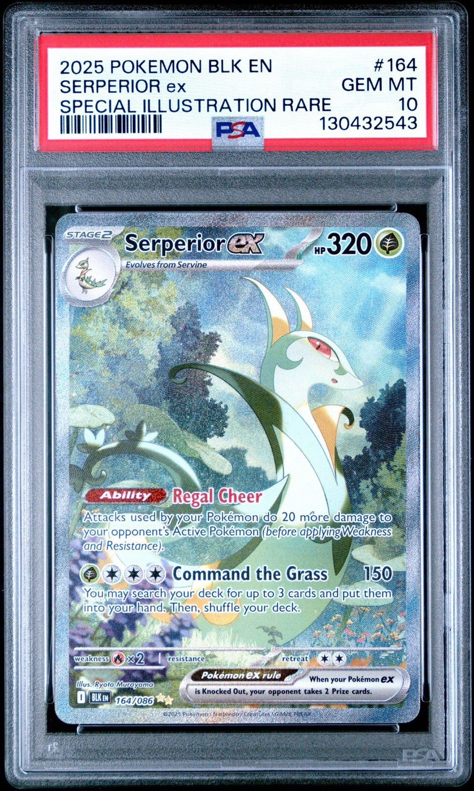 PSA 10 Serperior ex 164/086 Sv: Black Bolt Holo Pokemon