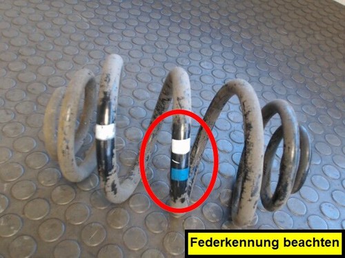 Hinterfeder Links BMW 316i E36 12 Monate Garantie Sofortversand