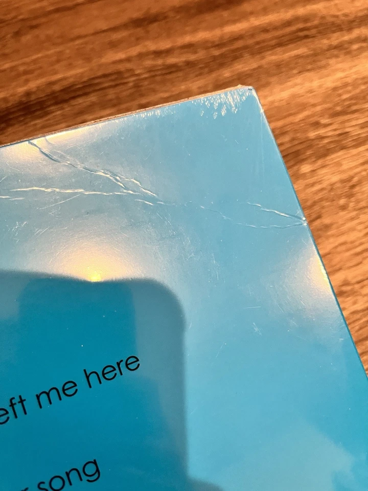 WEEZER 30 ZOETROPE Vinyl LP Geffen Limited Edition Picture Disc 2024 NEW - Image 3 of 4