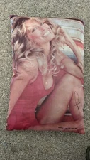 1976 FARRAH FAWCETT Silk Screen Swim Suit PILLOW 15" x 10.5" Pro Arts Collector