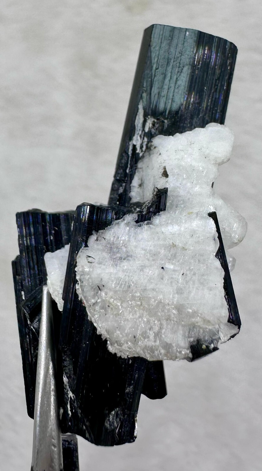 80.85ct Rare Black Tourmaline on Matrix Collector Specimen