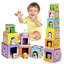 Toddler Farm Animal Sorting and Stacking Toys, Nesting Boxes and Blocks With 