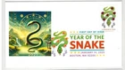 2025 RARE HPS 1/1 MADECHINESE NEW YEAR OF THE SNAKE BOSTON MA DESIGN #1