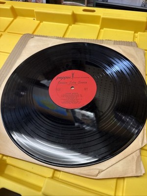 Creative Sales Service Pepper Custom Recording Sound Effects Vinyl