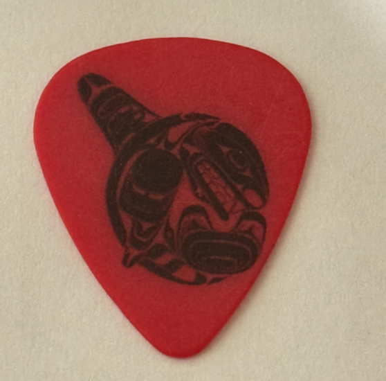 Alice in Chains アリス・イン・チェインズ ギターピック Alice in Chains Jerry Cantrell Signature Red Guitar Pick 2019