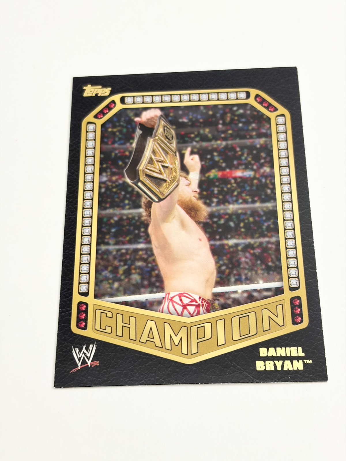 Daniel Bryan Champions 2014 Topps WWE Card # 30